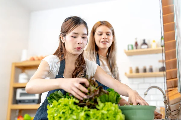 Genç kadınlar salata sebzeli sağlıklı yemek hazırlıyorlar. Bir kadın güzel bir iç mutfakta kilerde dikiliyor. Yerel ürünlerden ve malzemelerden alınan temiz diyet gıdaları taze pazardır..