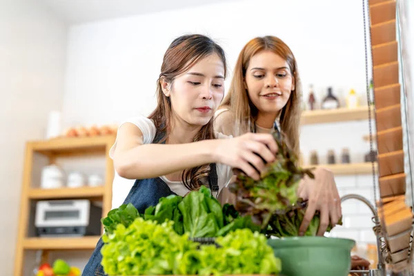 Genç kadınlar salata sebzeli sağlıklı yemek hazırlıyorlar. Bir kadın güzel bir iç mutfakta kilerde dikiliyor. Yerel ürünlerden ve malzemelerden alınan temiz diyet gıdaları taze pazardır..