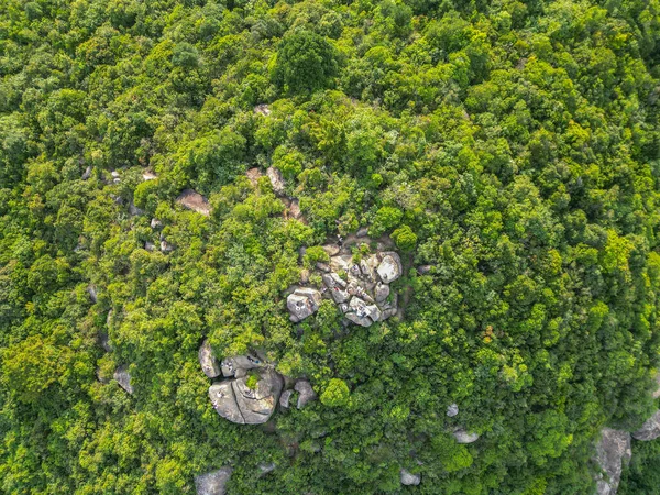 山顶上的森林和树木的高空鸟瞰图 岩石上绿树成荫 人山人海的自然景观 — 图库照片