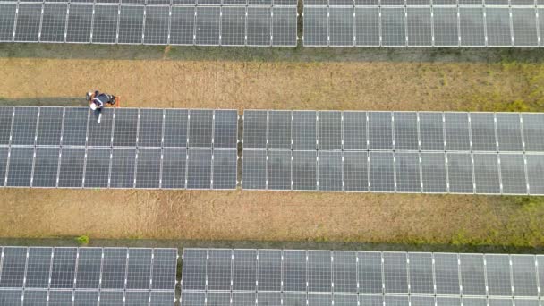 Vista Superior Trabalhador Andando Fazenda Solar Para Verificar Painel Solar — Vídeo de Stock