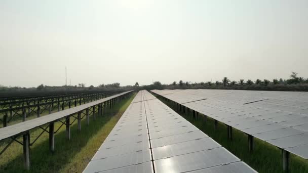 Överst Flygbild Solcellspanelen Solcellsanläggningen Eller Solkraftverket Förnybar Energi Industri För — Stockvideo