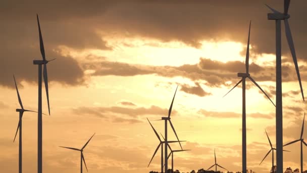 クリーンエネルギーと環境の持続可能な風力タービン電気 風車は晴れた日の風力発電から回転しています 炭素削減のためのクリーンな資源のためのゼリーエネルギー — ストック動画