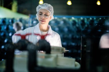 Endüstriyel fabrikadaki ters osmoz makinesinin kalitesini kontrol eden bilim adamı. Geri dönüşümlü taşınabilir fabrika için ölçü basıncıyla kontrol panelinde veri kaydeden kadın işçi.