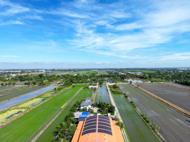 Hava manzarası, depoda güneş çatısı olan bir çok tarım alanının yeşillik alanı. Tarım ve tarım endüstrisi. Tayland kentsel alanı.