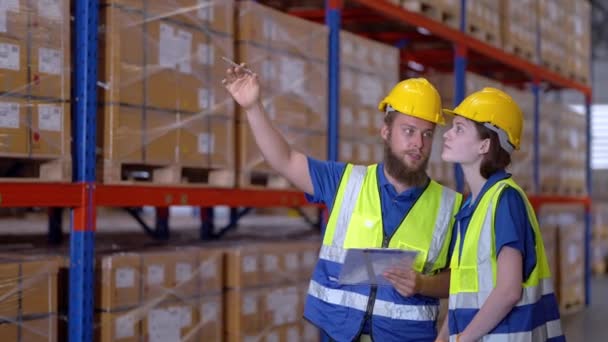 Trabajadores Operación Que Comprueban Inspeccionan Carga Para Los Artículos Pila — Vídeo de stock