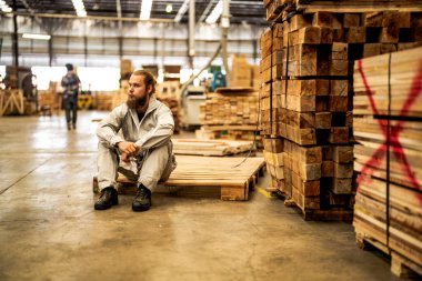 Erkek işçiler, makine dairesinde çalışan süit elbise ve eldiven giyerek güvenle oturuyorlar. Akıllı endüstri çalışanı kavramı. Ahşap fabrikası ağaç damak üretir.