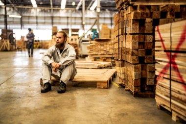 Erkek işçiler, makine dairesinde çalışan süit elbise ve eldiven giyerek güvenle oturuyorlar. Akıllı endüstri çalışanı kavramı. Ahşap fabrikası ağaç damak üretir.