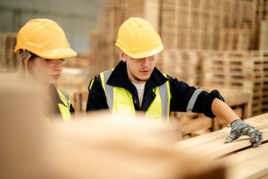 İşçi erkek ve kadın mühendisler depoda kereste odunlarını inceliyor. Akıllı endüstri çalışanı kavramı. Ahşap fabrikaları ağaç damak üretir..