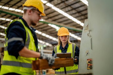 İşçi erkek ve kadın mühendisler depoda kereste odunlarını inceliyor. Akıllı endüstri çalışanı kavramı. Ahşap fabrikaları ağaç damak üretir..