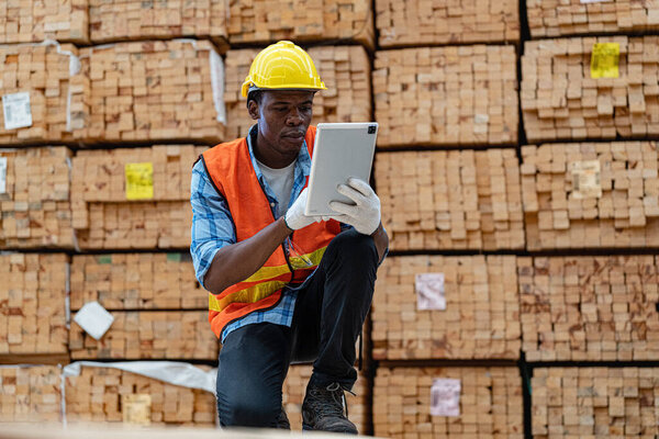 African workers man engineering walking and inspecting with working suite dress and hand glove in timber wood warehouse. Concept of smart industry worker operating. Wood factories produce wood palate.