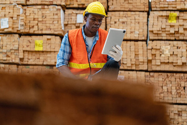 African workers man engineering walking and inspecting with working suite dress and hand glove in timber wood warehouse. Concept of smart industry worker operating. Wood factories produce wood palate.
