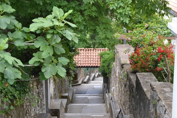 Старый Город Дубровник Риеке Хорватия — стоковое фото