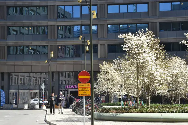 Güzel bahar çiçekleri, Stockholm
