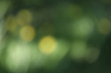 soyut bulanık yeşil bokeh 