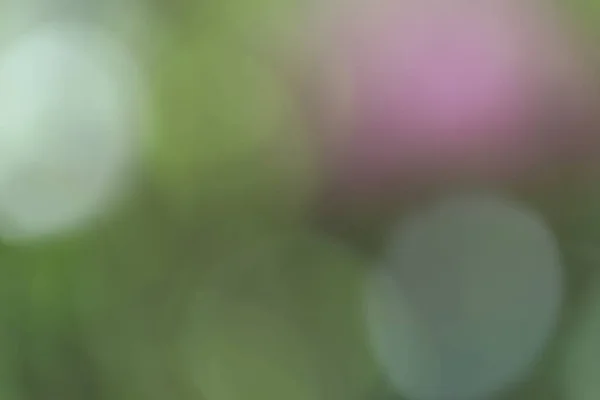 Деактивований Абстрактний Фон Красивих Весняних Квітів — стокове фото
