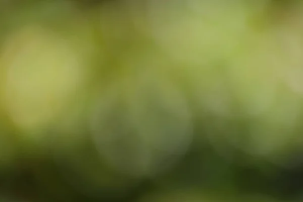 Abstrakter Verschwommener Hintergrund Grün Gelb Braun Schwarz — Stockfoto