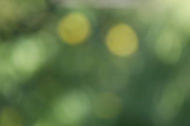 soyut yeşil bulanık bokeh arkaplanı 