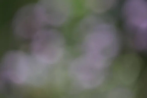 Soyut Bulanık Arkaplan Yeşil Siyah Beyaz Koyu Bokeh Odaklanmamış Bokeh — Stok fotoğraf