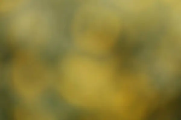 黄色の抽象的なグラデーションの背景とコピースペース — ストック写真
