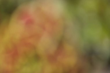 Soyut bulanık arkaplan. Odaklanmamış bokeh arkaplanı 