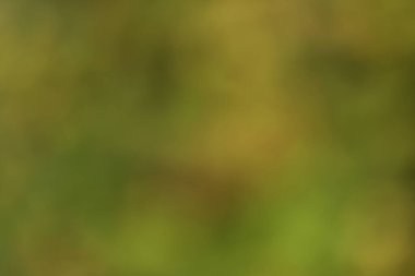 Bulanık eğimli arkaplan. Renkli yumuşak pankart şablonu. Bilgisayar ekranı duvar kağıdı. Basit Gradyan 