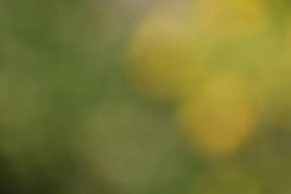 Bulanık Soyut Bokeh Arkaplanı Sarı Turuncu Renkler — Stok fotoğraf