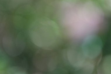 Soyut yeşil arkaplan, güzel bahar illüstrasyonu 