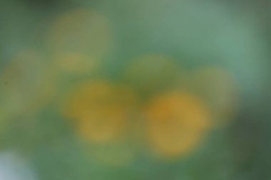 sarı bulanık bokeh arkaplan 