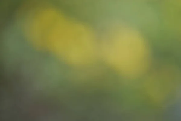 soyut arkaplan, bulanık yeşil 