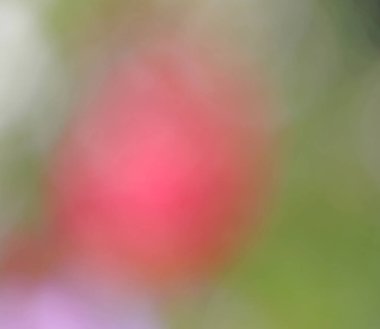 soyut renkli bulanık arkaplan 