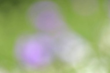 Bulanık bokeh arkaplan, soyut yeşil ve mor arkaplan 