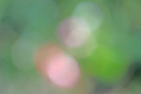 Размытый Зеленый Фон Абстрактный Фон Размытый Боке Фон — стоковое фото