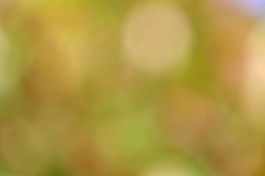 Bokeh ile bulanık arkaplan. 