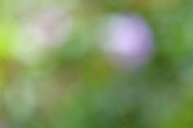 Arkaplan için bulanık bokeh soyut arkaplanı 