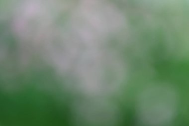 soyut yeşil arka plan bulanık tasarımınız için