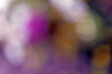 soyut renkli bokeh arkaplanı