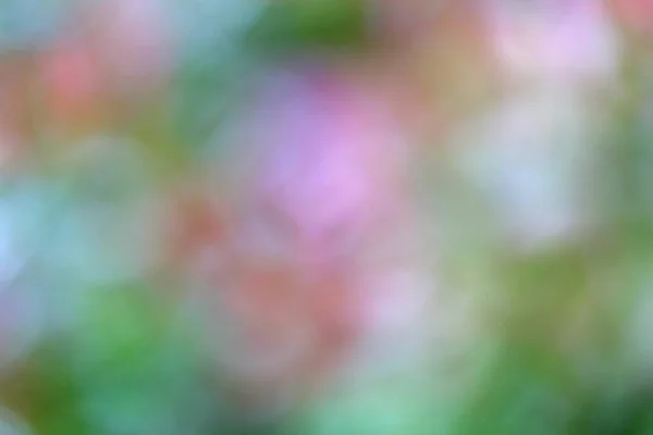Abstrakte Verschwommene Hintergrund Mit Blumen — Stockfoto