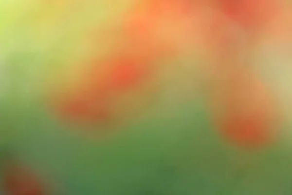 Размытый Фон Разноцветного Боке — стоковое фото