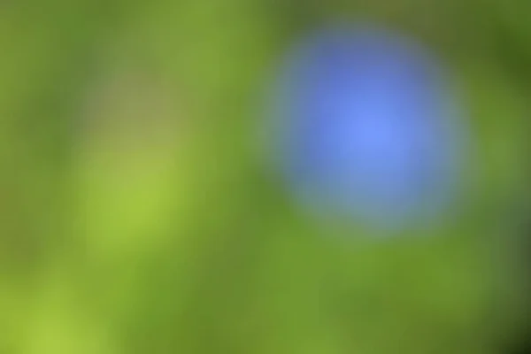 美しい青の背景の抽象的なぼかし — ストック写真