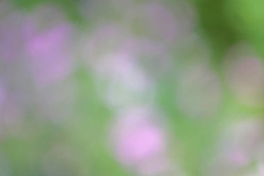 arka plan bulanık. arka plan.