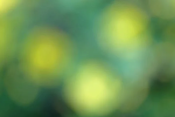 Grün Verschwommen Hintergrund Der Gelben Blätter Abstrakte Natur Hintergrund — Stockfoto
