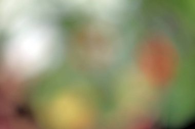 Renkli sonbahar yapraklarının bulanık arkaplanı