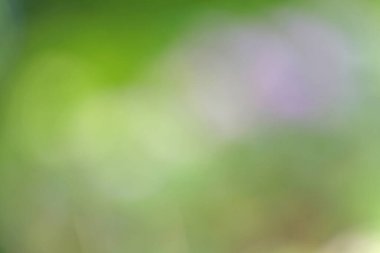 Bokeh ile bulanık arkaplan