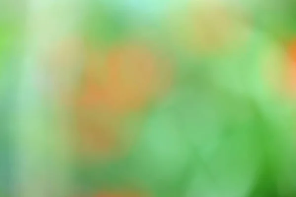 Abstrakter Grüner Hintergrund Verschwommener Hintergrund — Stockfoto