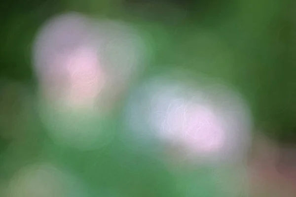 Onscherpe Wazige Achtergrond Van Groen Rood Gekleurde Lichten — Stockfoto