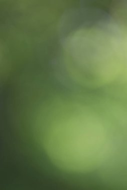 Renkli bokeh 'in soyut arkaplanı