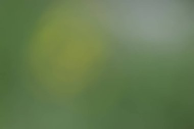 Bulanık ışık izleri arka plan