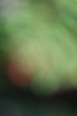 ışık soyut arkaplan, bulanık arkaplan, kopyalama alanı