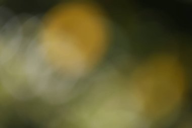 Bulanık arkaplan, renkli soyut doku