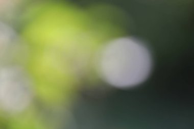 Odaklanamayan bulanık arkaplan